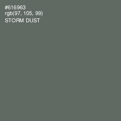 #616963 - Storm Dust Color Image